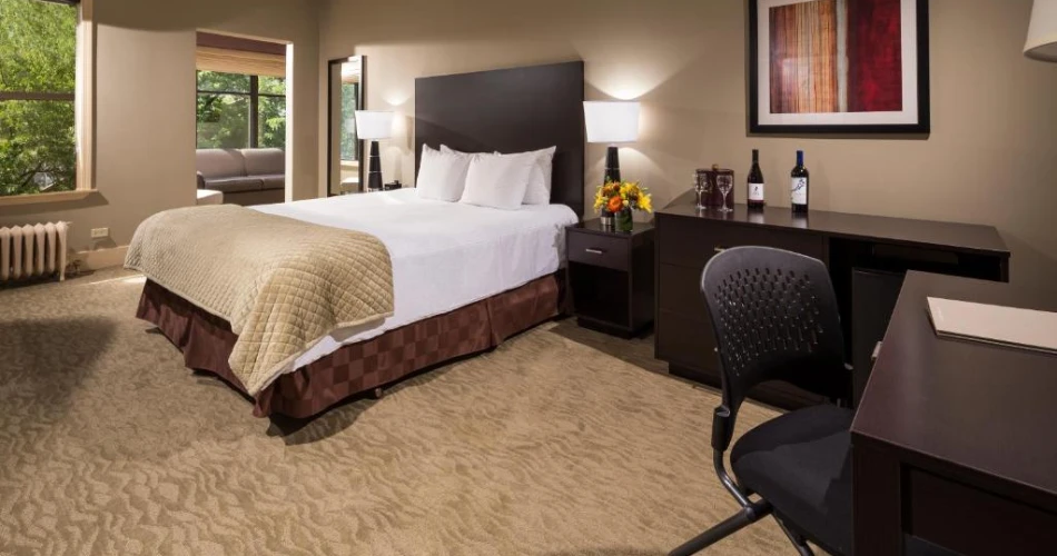 Top Hotels Around Wrigley Field, Chicago: The Best Stays for Cubs Fans and Visitors